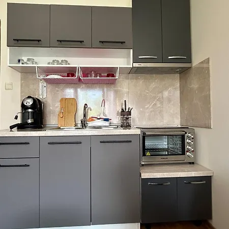 Cozy With Kitchen In Daire Bansko