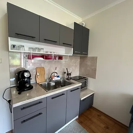Cozy With Kitchen In Apartmán